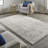 Ambrette Abstract Birch Area Rug-422183160