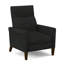 Recliner-119895237-119895266