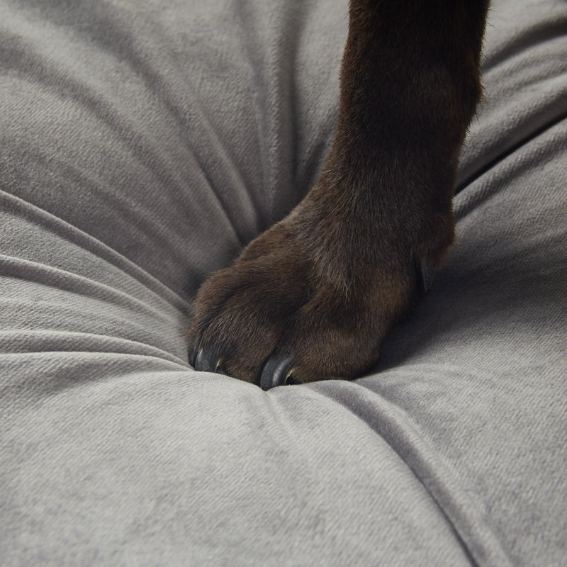 Coussin orthopédique pour chien en mousse viscoélastique classique, Grand (l 35 po x P 22 po x H 3 po)
