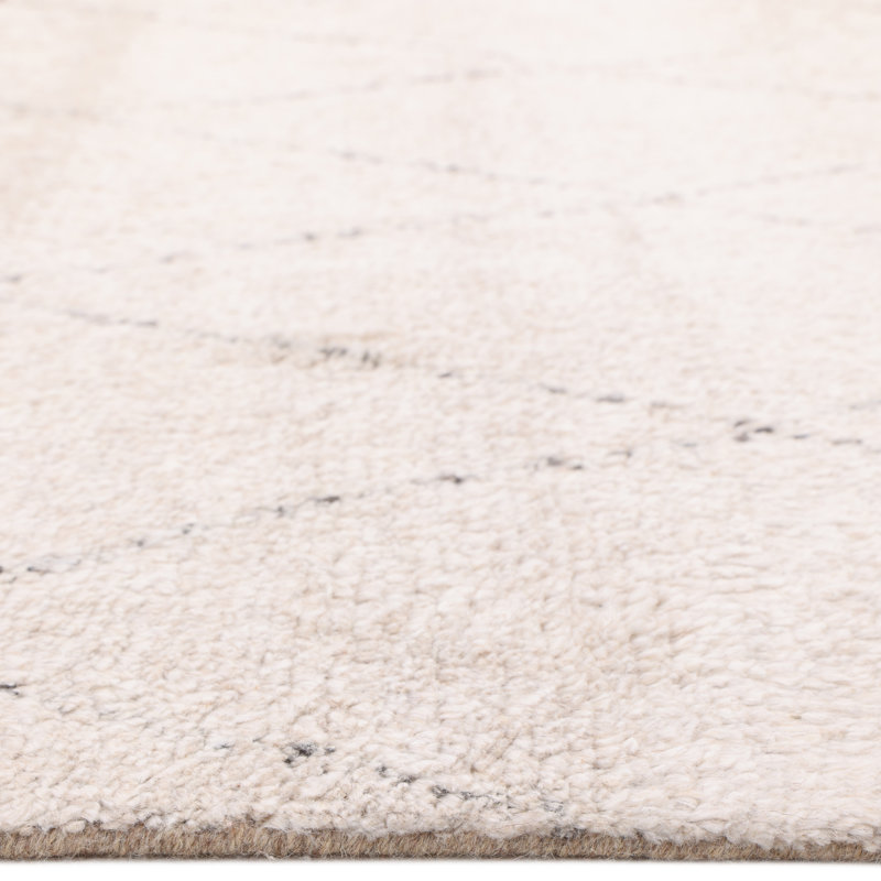Flerida Moroccan Area Rug in Linen, Rectangle 3' x 5'