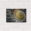 «Shell Spiral II» par Dennis Frates-1183867028