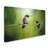 Vidur 'Wake Up Call Hummingbirds' Graphic Art Print on Wrapped Canvas-22072217