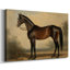 Animaux, paysage, série CXCV III-223090124