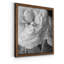 Renoncule foncé II - cadre photo-997390528-997390543-997338826
