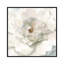 Neutre pivoine par Danhui Nai - impression-53940327-53940332-53940350