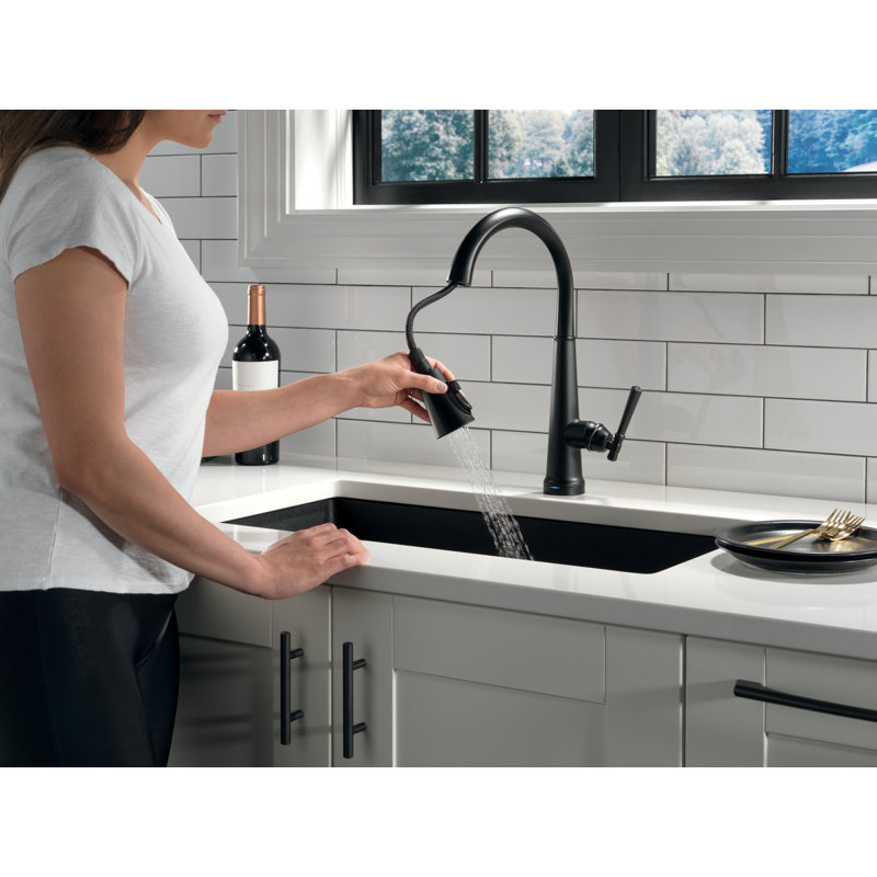 Robinet de cuisine Emmeline, Noir mat