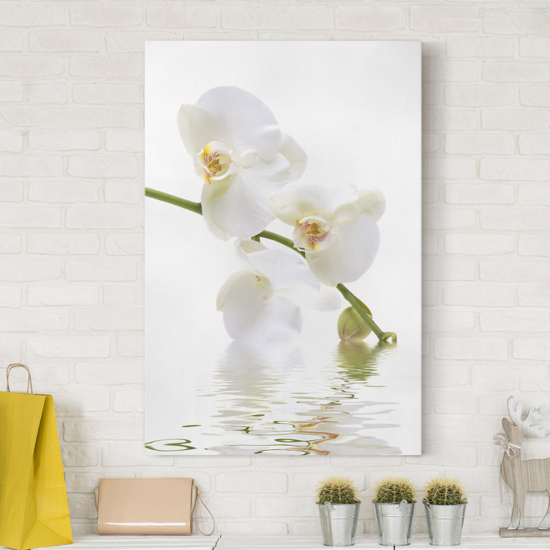 Leinwandbild Weißes Orchideenwasser