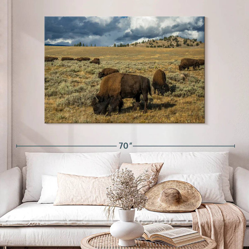 Yellowstone Bison