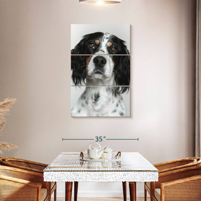 Brampt English Setter Dog