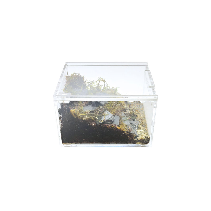 Acrylic Enclosure- Mini Flat Clear