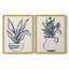 Marine Plant Sketches III - reproduction encadrée de qualité supérieure - prête à être accrochée - aucun clou requis - aucun clou requis-276643645-276643632