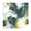 «Citron Synergy IV» sur-1282580008