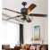 Wauconda 52'' Ceiling Fan