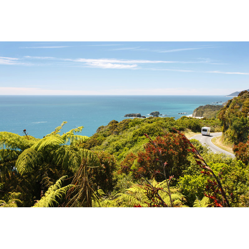 New Zealand Camping, 20cm H x 30cm W x 3.8cm D