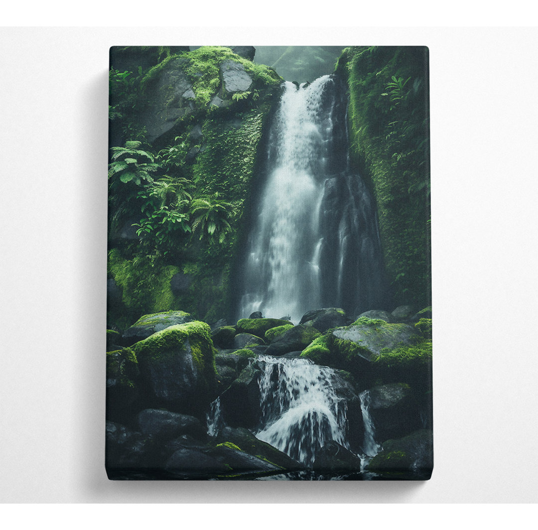 Wasserfall Moosfelsen - Druck