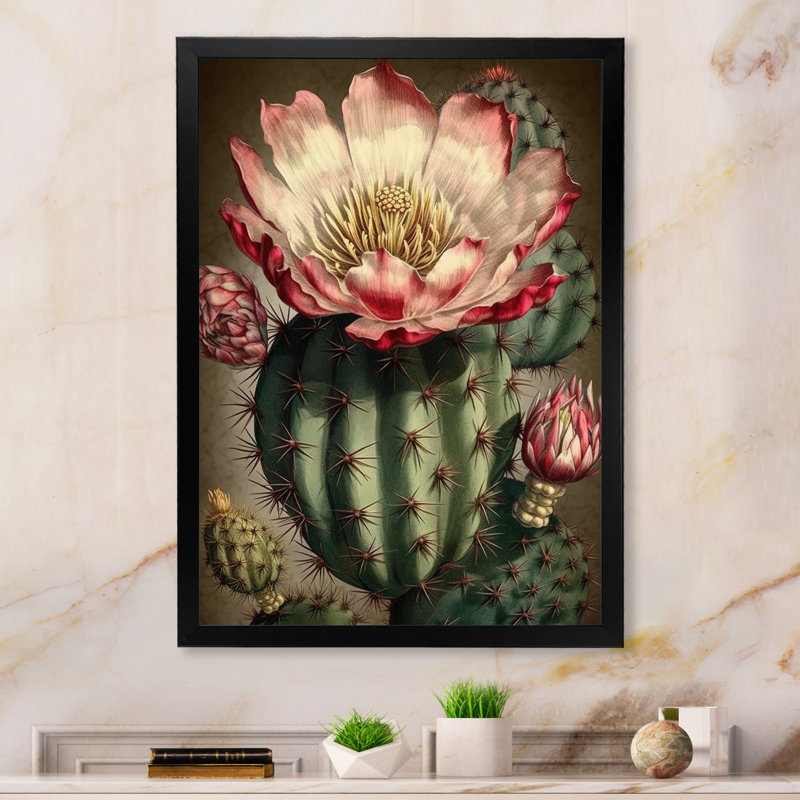 Fleur de cactus en fleur sur toile, Cadre simple noir, H 40 po x l 30 po x P 1,5 po