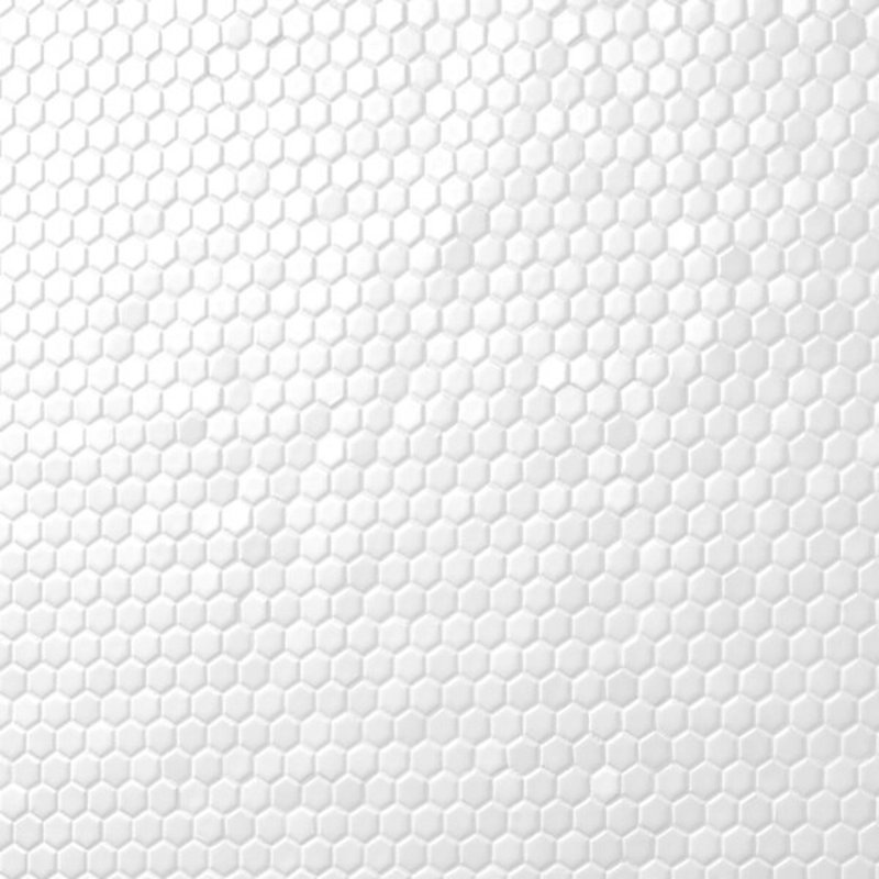 Eden 2.0 Rimmed 1" Hexagon Polished Porcelain Mosaic Tile, Matte White