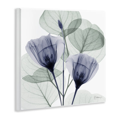 Plaque murale contemporaine eucalyptus et herbes, design par Albert Koetsier