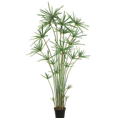 72'' Faux Cypress Tree in Planter