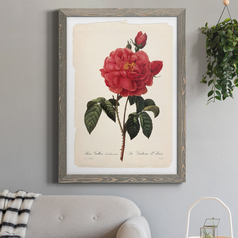 Red Botanical III - cadre photo, impression sur toile, Toile avec cadre gris, H 24 po x l 18 po x P 1,5 po