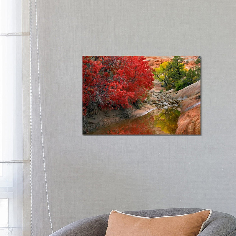 Maple And Cottonwood Autumn Foliage, Zion National Park, Utah II by Tim Fitzharris - Wrapped Canvas Print
