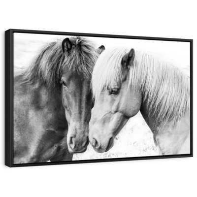 Animal «Sweet Horse Love»