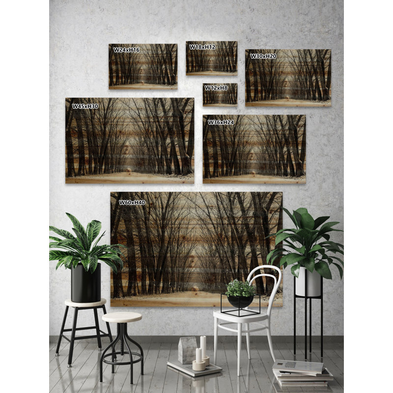 «Tree Path II» Parvez Taj - reproduction sur bois de pin naturel, H 40 po x l 60 po x P 1,5 po