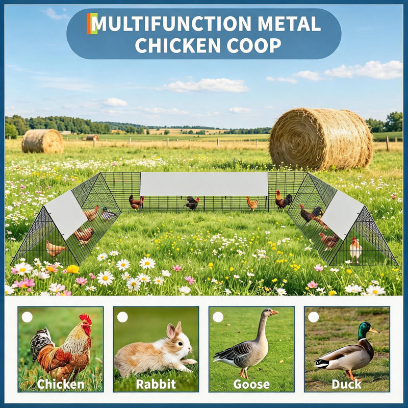 Chicken Coop