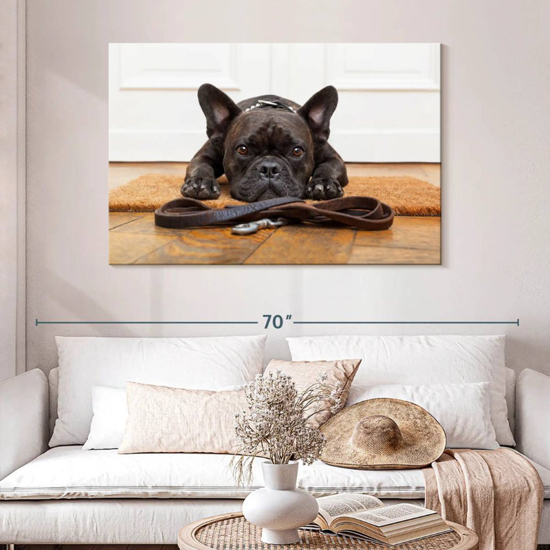 Bouledogue français en attente, 32" H x 48" W