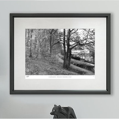 Cawsand, Penlee Woods 1949 - Single Picture Frame Print