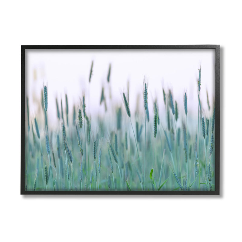 Art de giclée verte de champ de blé vert par Nancy Crowell, Giclée encadrée noir minuit, H 11 po x l 14 po x P 1,5 po
