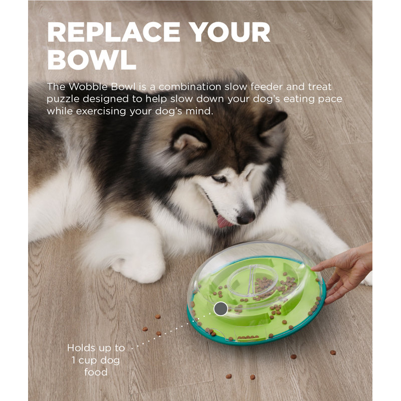 Interactive Green and Clear Plastic Treat Dispenser Bowl