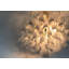 Pirelli 10 - Light Chandelier-1002712384