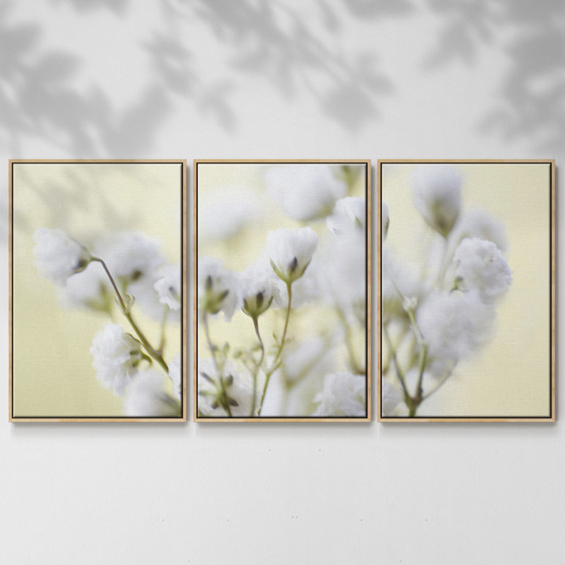 «Baby's Breath Study IV», reproduction de cadre flottant 3 pièces sur toile, H 24 po x l 48 po x P 2 po, Naturel