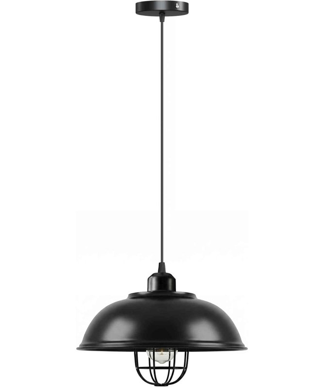 1 - Light Black Caged Pendant, Yes