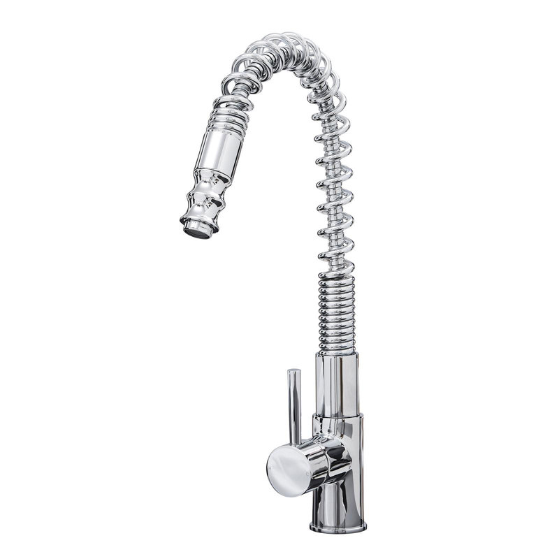 Belfry Kitchen Vaidya Pull Out Kitchen Faucet