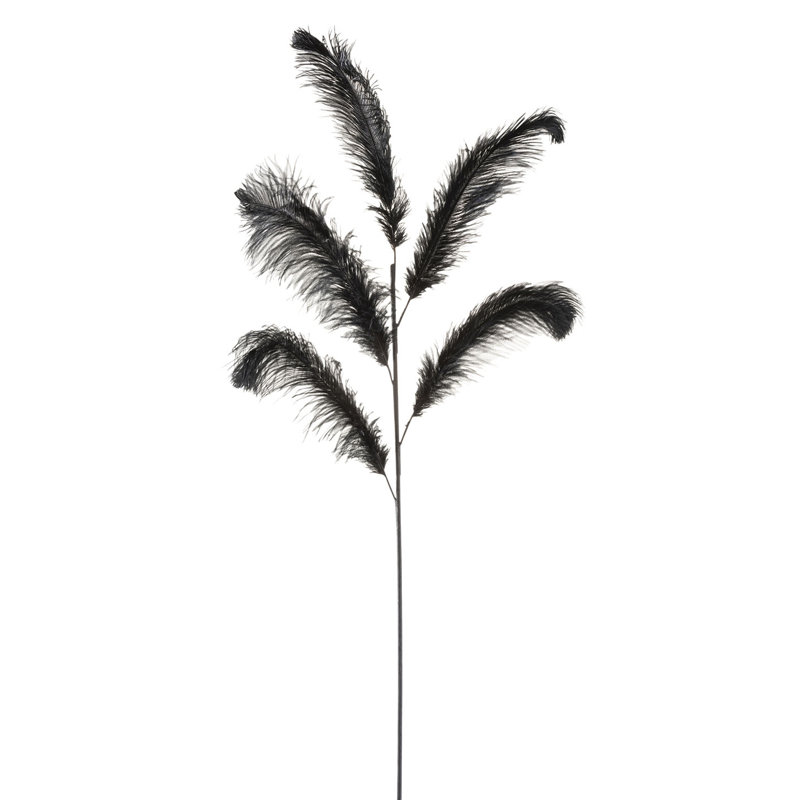Cannet Landscape & Nature Vase Filler, Black