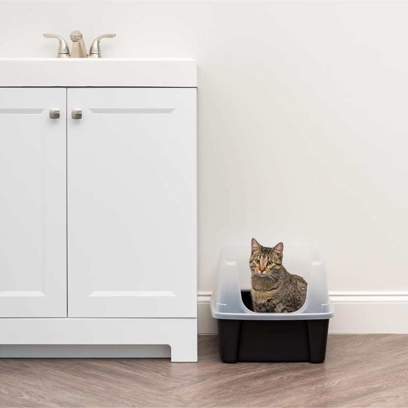 Bac à litière pour chat USA