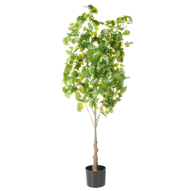150cm Faux Ginko Tree in Pot