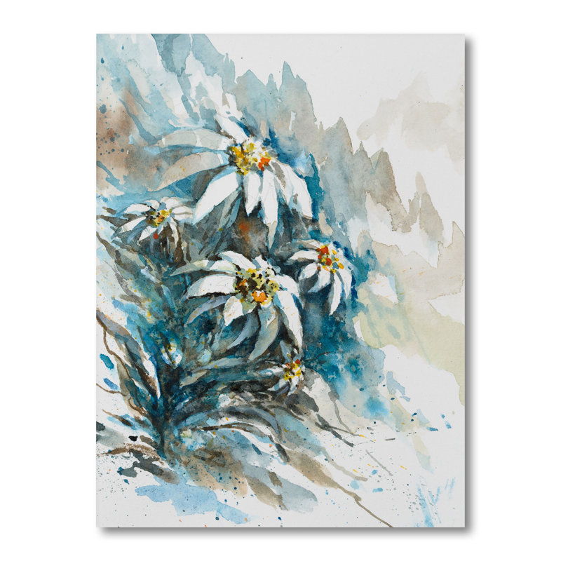 «Abstract Rare Edelweiss Flowers», reproduction de cadre photo sur toile, H 32 po x l 16 po x P 1 po, Toile tendue