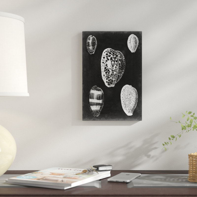 «Alabaster Shells VI» par Vision Studio - reproduction d'art sur toile tendue, H 40 po x l 26 po x P 1,5 po, Toile tendue