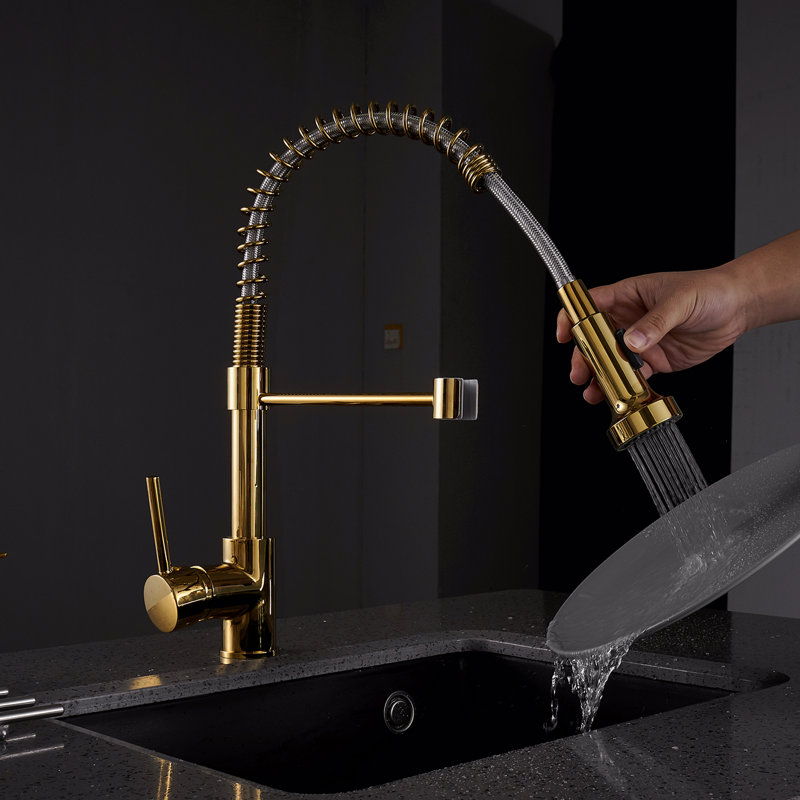 Robinet de cuisine avec douchette rétractable, robinet d'évier de cuisine à poignée simple