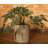 Laparis ECOBO Eco-Friendly Round Pot Planter, Milano Indoor/Outdoor use, Four season Use-43585709-43903999