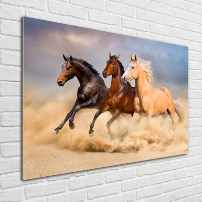 Horses In A Gallop - No Frame Print on Glass