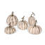 Farmhouse Pumpkins, Set Of 5