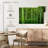 Alvord Bamboo Jungle-111976174