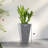 Set Of 3 Tall Planters,Plastic Flower Pots