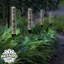 Ensemble de piquets de jardin 2 pièces Bubble