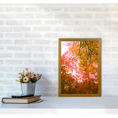 Autumn Leaves - Print