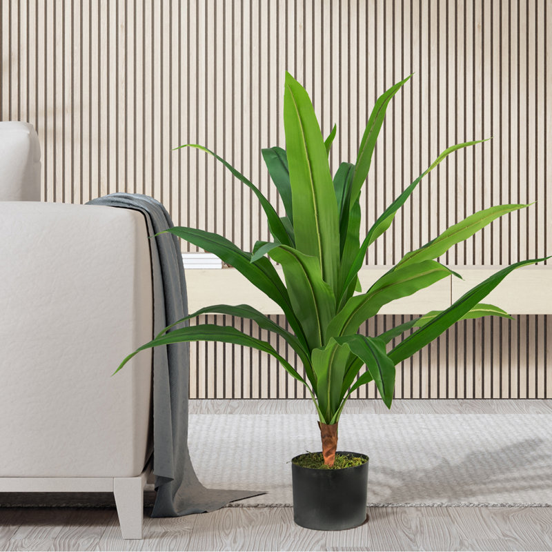 Yardley 36'' Faux Dracaena Plant in Pot